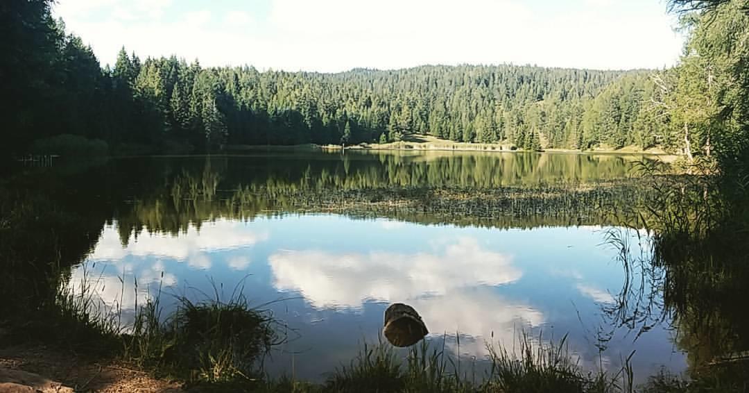 Albergo Garni' Aurora Tret Экстерьер фото